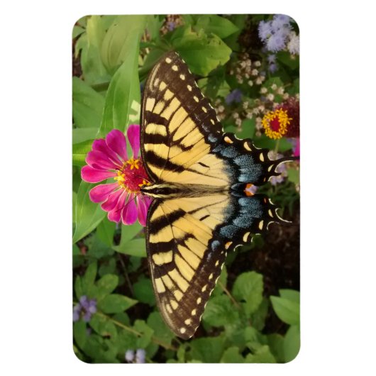 tijger Swallowtail Butterfly 4"x6" Magnet Magneet (Verticaal)
