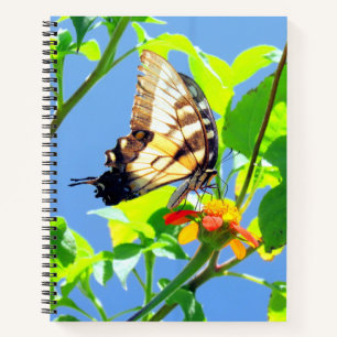tijger-Swallowtail Butterfly - 8,5 x 11, 8,5 x 8,5 Notitieboek