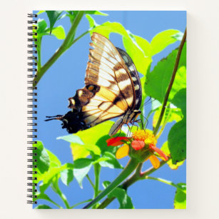 tijger-Swallowtail Butterfly - 8,5 x 11, 8,5 x 8,5 Notitieboek