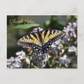 Tijger Swallowtail Butterfly Dank u Briefkaart (Voorkant)