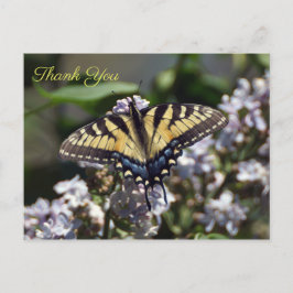 Tijger Swallowtail Butterfly Dank u Briefkaart