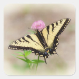 Tijger Swallowtail - Butterfly Square Sticker