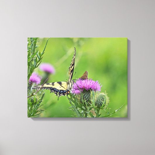 Tijger Swallowtail & Skipper Vlinders op Distel Canvas Afdruk (Voorkant)