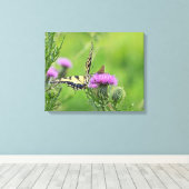 Tijger Swallowtail & Skipper Vlinders op Distel Canvas Afdruk (Insitu (Houten vloer))
