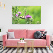 Tijger Swallowtail & Skipper Vlinders op Distel Canvas Afdruk (Insitu (Woonkamer))