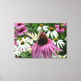 Tijger Swallowtail Vlinder Bloem Canvas Print