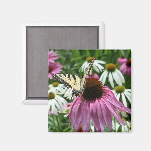 Tijger Swallowtail Vlinder Coneflower Magnet (Voorkant / Achterkant)