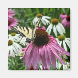 Tijger Swallowtail Vlinder Coneflower Magnet