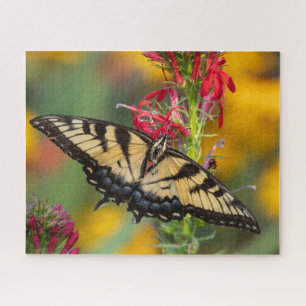 tijger-swallowtail-vlinder en kardinaalventilator legpuzzel