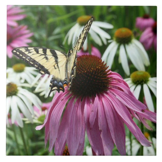 Tijger Swallowtail Vlinder Keramische Tegel Tegeltje (Voorkant)
