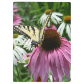 Tijger Swallowtail Vlinder op Bloem Klembord (Achterkant)