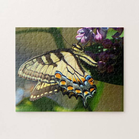 Tijger Swallowtail Vlinder op Lila puzzel (Horizontaal)