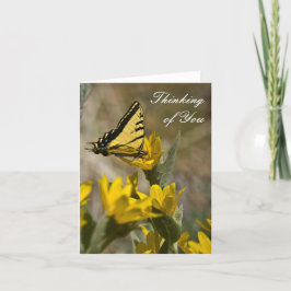 Tijger Swallowtail vlinder op oor van muilezel Kaart