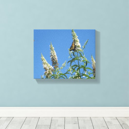 Tijger Swallowtails op Vlinder Struik Canvas Afdruk (Insitu (Houten vloer))