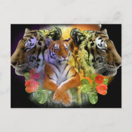 Tijger Symmetrie dierentuin Briefkaart