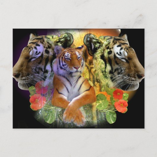 Tijger Symmetrie dierentuin Briefkaart (Voorkant)