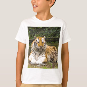 tijger t-shirt