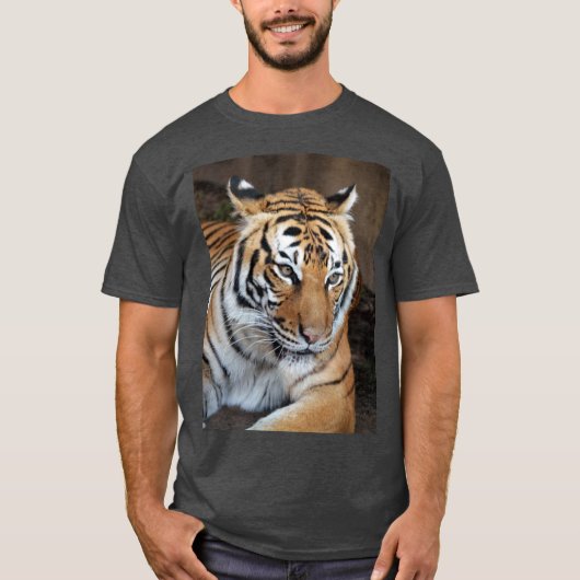 Tijger T-shirt (Voorkant)