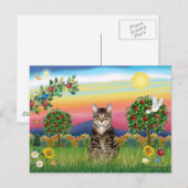 Tijger Tabby Kat 1 - Helder Landelijk Briefkaart (Voorkant / Achterkant)