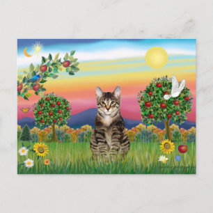 Tijger Tabby Kat 1 - Helder Landelijk Briefkaart