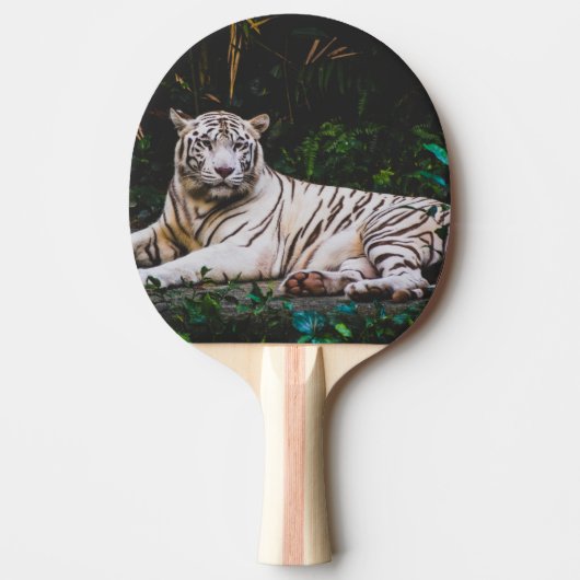 tijger tafeltennisbatje (Voorkant)