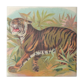 tijger tegeltje