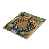 tijger tegeltje (Zijkant)