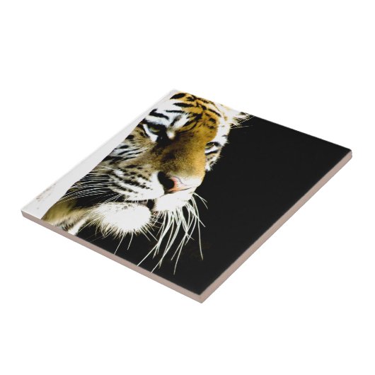 tijger tegeltje (Zijkant)