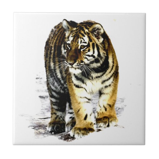 tijger tegeltje (Voorkant)