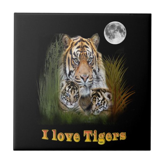 tijger tegeltje (Voorkant)