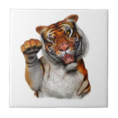 Tijger, tijger tegeltje (Voorkant)