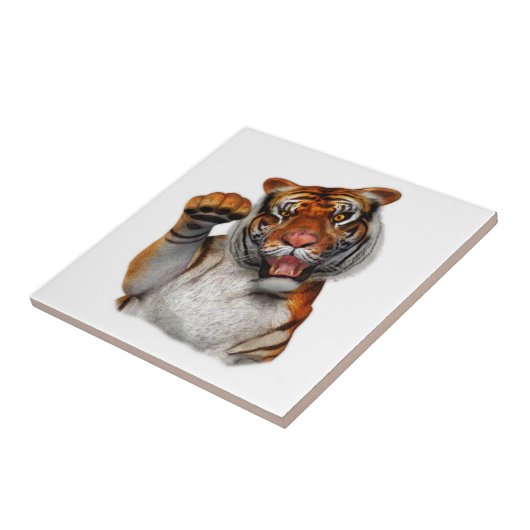 Tijger, tijger tegeltje (Zijkant)