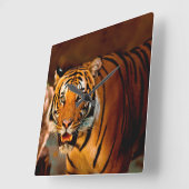 tijger vierkante klok (Hoek)