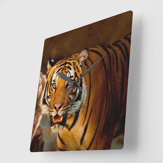 tijger vierkante klok (Hoek)