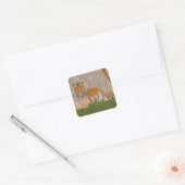 tijger vierkante sticker (Envelop)