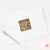 tijger vierkante sticker (Envelop)
