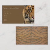 tijger visitekaartje (Voorkant / Achterkant)