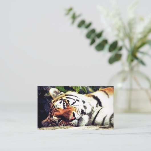 Tijger Visitekaartje (Staand voorkant)