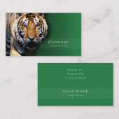 tijger visitekaartje (Voorkant / Achterkant)
