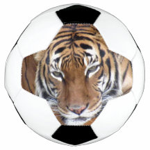 Tijger - Voetbal