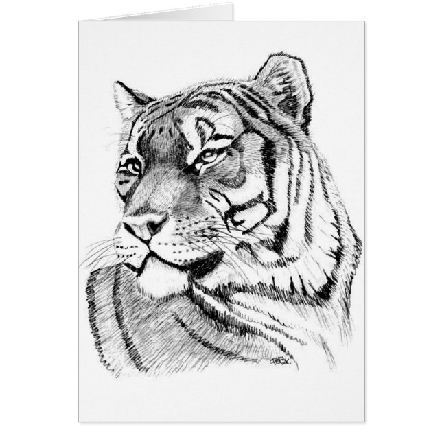 Tijger-vogelkaart (Voorkant)
