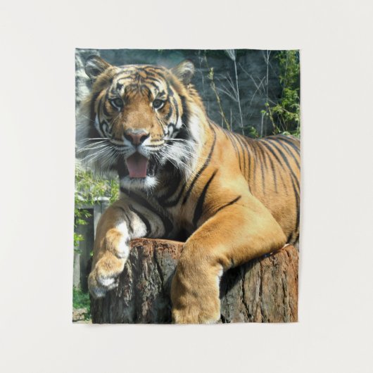 tijger wandkleed (Voorkant)