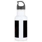 tijger waterfles  (Achterkant)