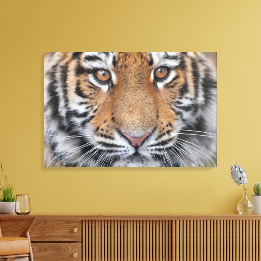 Tijger welp gezicht canvas afdruk (Insitu (Woonkamer))