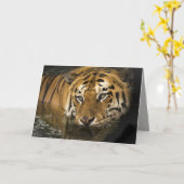 tijger wenskaart kaart (Gele Bloem)