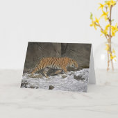 Tijger Wenskaart van de 8 maand het Oude Welp Kaart (Gele Bloem)