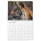 Tijger Wild Dier 2027 Kalender (Mar 2027)