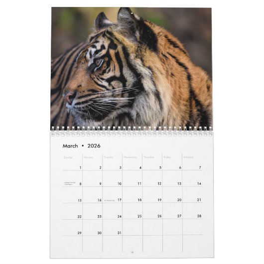 Tijger Wilde Dieren 2025 Kalender (Mar 2026)