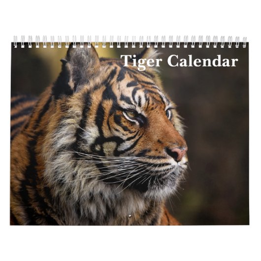 Tijger Wilde Dieren 2025 Kalender (Hoes)