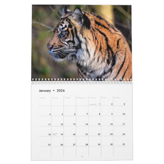 Tijger Wilde Dieren 2025 Kalender (Jan 2026)